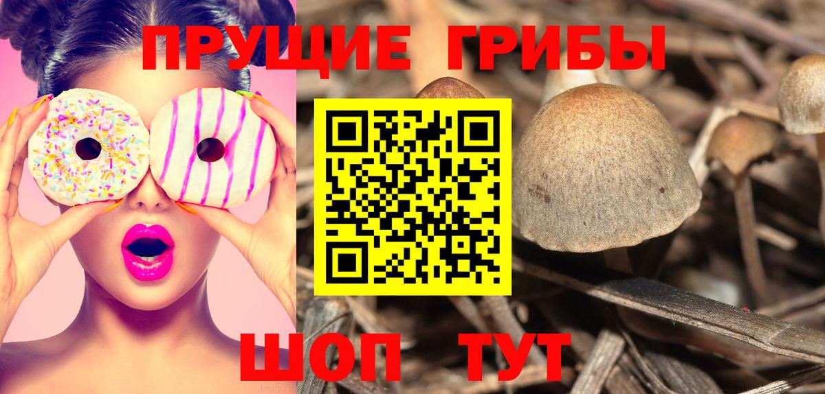 Галлюциногенные грибы Psilocybe  купить закладку  Тверь  Вход с VPN 